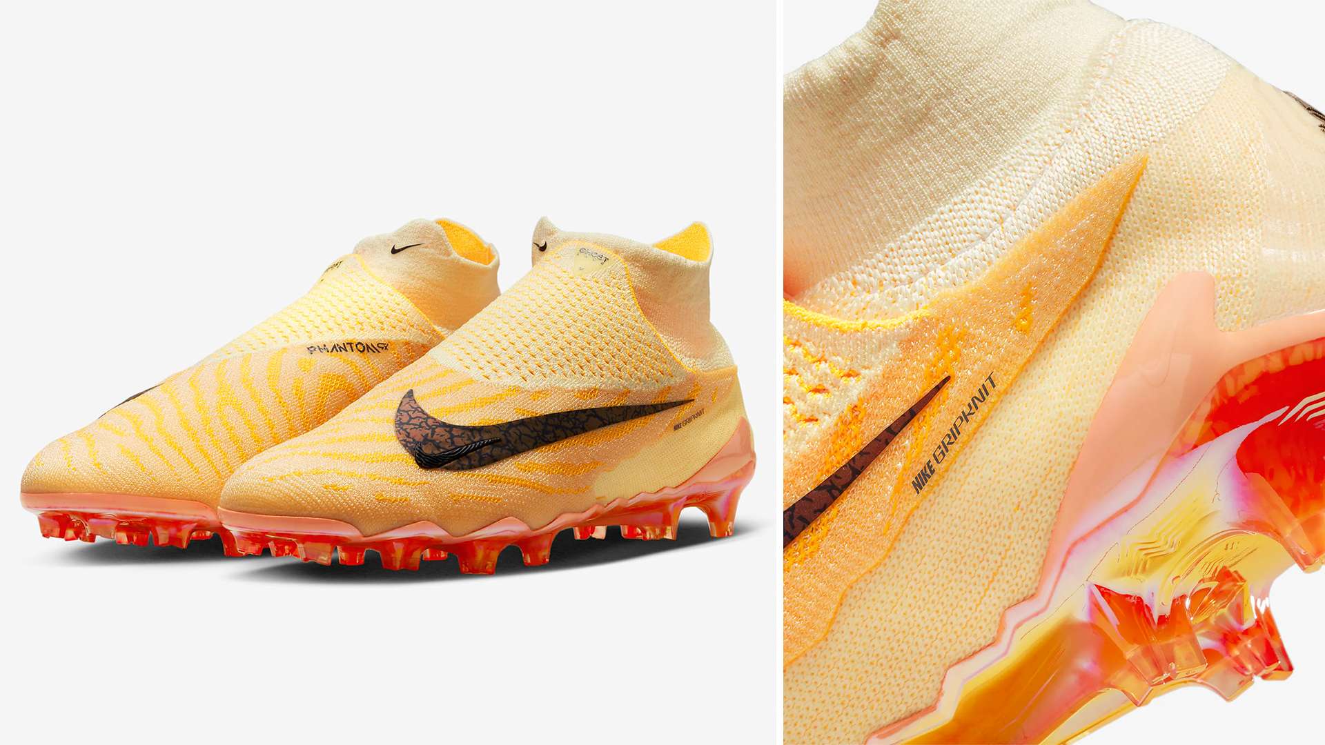 為都可能被 為都可能被